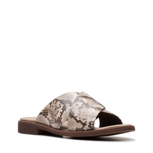 Declan Ivy 2 Declan Ivy - Image 2