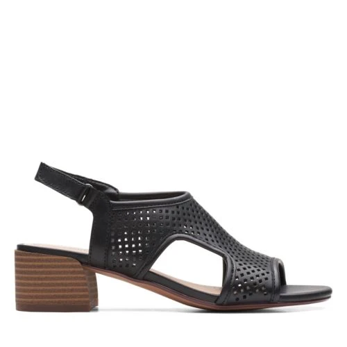 Caroleigh Star 1 Caroleigh Star