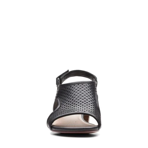 Caroleigh Star 3 Caroleigh Star - Image 3